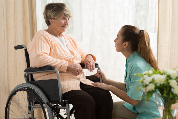 elder care franchises